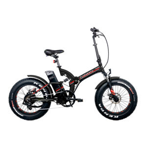 Argento Bike Bi Max | Confronta prezzi | Trovaprezzi.it
