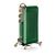 Ariete Radiatore elettrico a olio 0838