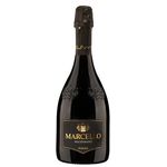 Ariola Cantina Marcello Lambrusco Emilia IGT Millesimato