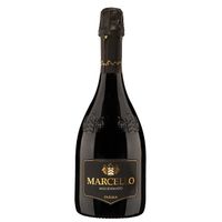 Ariola Cantina Marcello Lambrusco Emilia IGT Millesimato