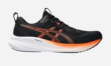 Asics Gel Pulse 16
