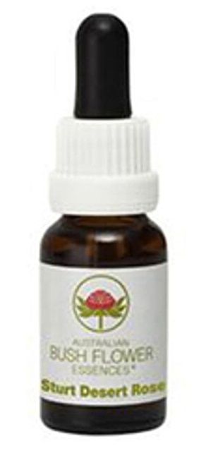 Australian Bush Flower Sturt Desert Rose