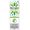 Bayer Iberogast Advance Gocce