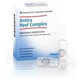 Biologische Heilm Arnica Heel Complex