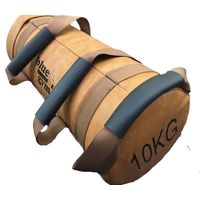Blue Gym Sandbag Pro Line