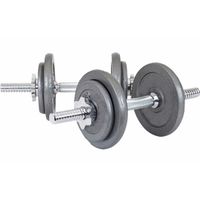 Blue Gym Set di Manubri
