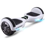 Bluewheel HX310s