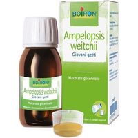 Boiron Ampelopsis Weitchii Macerato Glicerinato