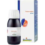 Boiron Arnica Montana Tintura Madre