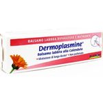 Boiron Dermoplasmine Balsamo Labbra Riparatore e Nutriente
