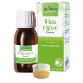Boiron Ribes Nigrum Gemme Macerato Glicemico