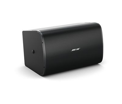 Bose DM10S-Sub