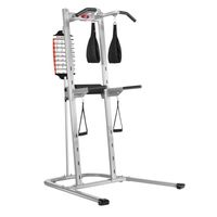 Bowflex Bodytower