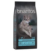 Briantos Adult Cane (Salmone/Patate) - secco