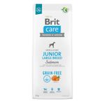 Brit Care Grain-Free Junior Large Breed Cane (Salmone e Patate) - secco