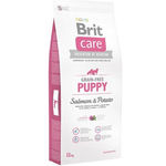 Brit Care Grain-Free Puppy (Salmone e Patate) - secco