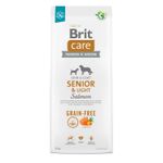 Brit Care Grain-Free Senior&Light Cane (Salmone e Patate) - secco