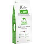 Brit Care Grain-Free Adult Large Breed Cane (Salmone e Patate) - secco