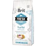 Brit Fresh Muscles&Joints Adult Large Cane (Pesce con Zucca) - secco