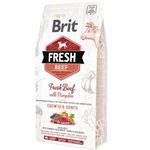 Brit Fresh Growth &Joints Large Puppy (Manzo e Zucca) - secco