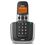 Brondi Bravo Platinum