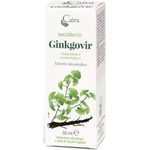 Caira Laboratorio Erboristico Ginkgovir Macerato Gocce