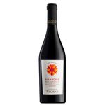 Cantina di Negrar Amarone della Valpolicella DOCG Classico Biologico