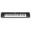 Casio Tastiera CTK-240