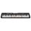 Casio Tastiera LK-S250