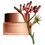 Clarins Extra Firming Jour