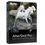 Corel AfterShot Pro 3