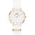 Daniel Wellington Petite Dover 32MM