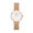 Daniel Wellington Petite Melrose 28MM