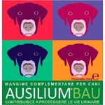 Deakos Ausilium Bau