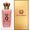 Dolce & Gabbana Q Eau de Parfum Intense
