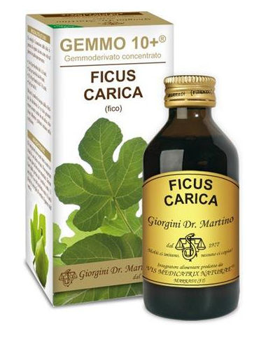 Dr. Giorgini Gemmo 10+ Fico