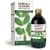 Dr. Giorgini Moringa Oleifera Estratto Integrale