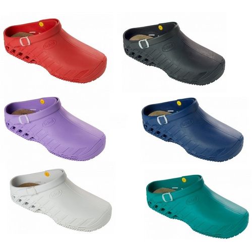 Scholl Clog Evo