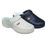 Scholl New Bonus Fori