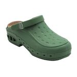 Scholl New Work Fit