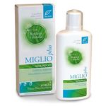 Dr.Taffi Miglio Plus Shampoo Capelli Grassi con Bardana e Betulla