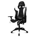 Drift Gaming DR300