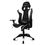 Drift Gaming DR300