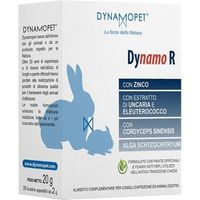 Dynamopet Dynamo R