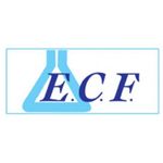 ECF Stamin Age Compresse