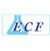 ECF Stamin Age Compresse
