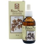 Ecol Ribes Nero Gemme