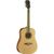 Eko Chitarra Acustica One D