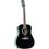 Eko Chitarra Acustica Ranger 6 EQ