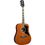 Eko Chitarra Acustica Ranger VI VR